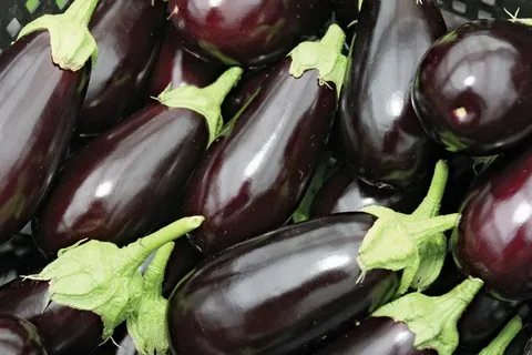 تصویر 3 از فروش استثنایی + قیمت ویژه بادمجان قلمی کوچک